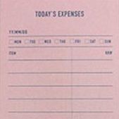 Today's Expenses