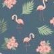 07. Flamingo (S)