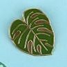 Monstera