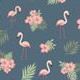 06. Flamingo (M)