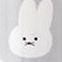 Gray Bunny