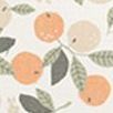 02 Orange Tree