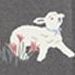 07 Baby Lamb