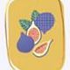 Figs (Lined)