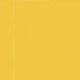 Mustard (Study Plan)