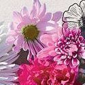 Live Flower