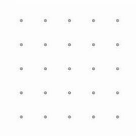 02 Dot Grid