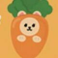 03 Carrot