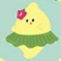 04 Lemon