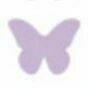 05 Butterfly A