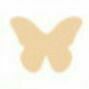 06 Butterfly B