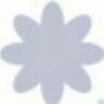 08 Flower B