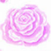 07 Pink
