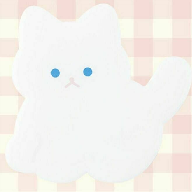 03 White Cat