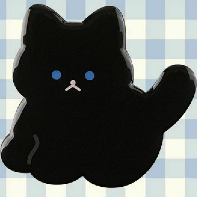04 Black Cat