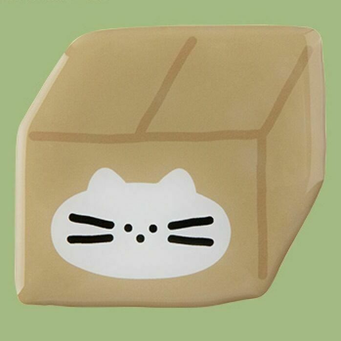 07 Cat in the Box