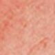 08 Misty Coral