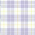 17 Lavender Check