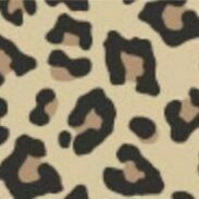 18 Leopard