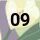 09 Blossom