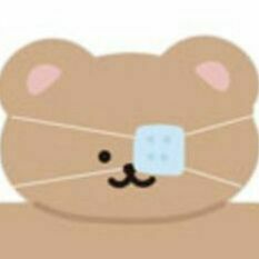 160 Big Optical Bear