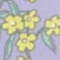 04 Euphorbia