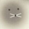 06 Cat