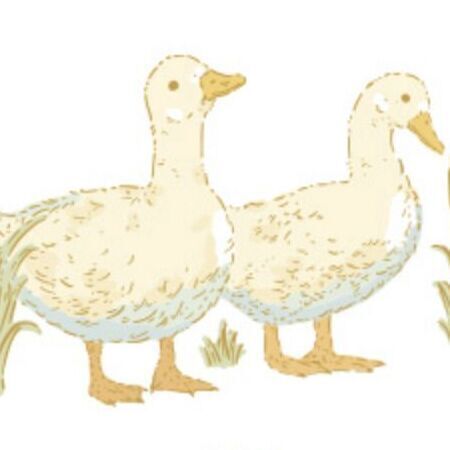 02 Duck