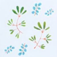 Green Twig