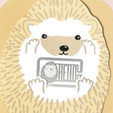 Hello Hedgehog