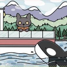 02 Orca Whale Watching