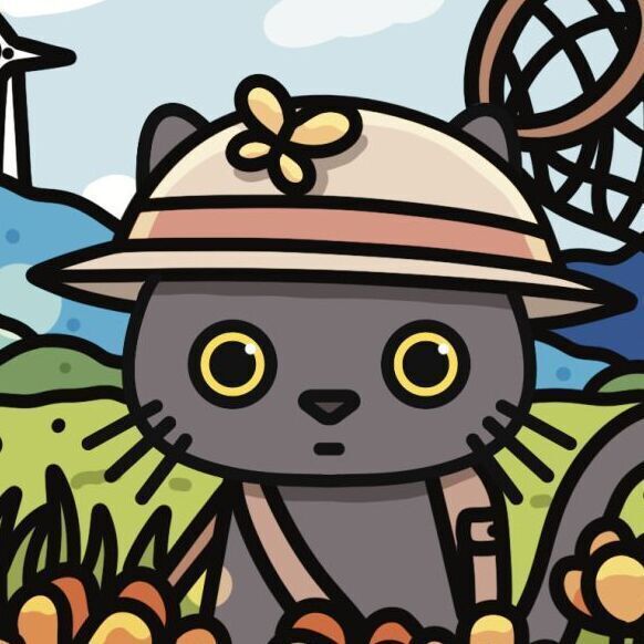 04 Poppy Field