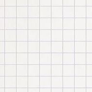 Grid (Gray_50 Sheets)