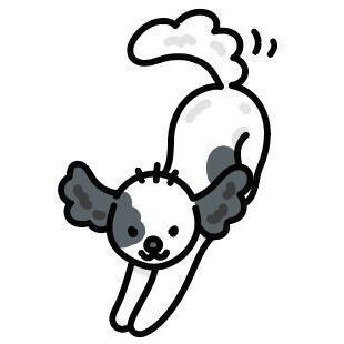 02 Chi Apso Dog