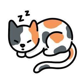 03 Calico Cat