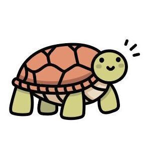 06 Tortoise