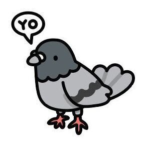 07 Pigeon
