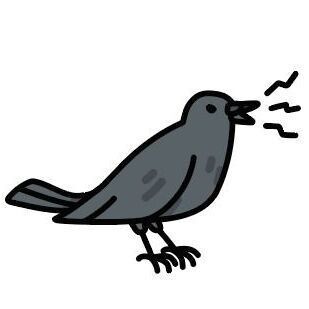 08 Crow