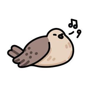 09 Mourning Dove