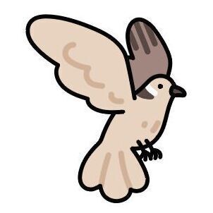 10 Ring-necked Dove