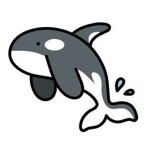 13 Orca