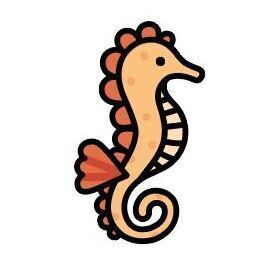 14 Seahorse