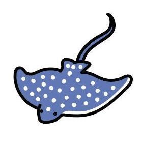 15 Spotted Eagle Ray