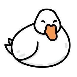 16 Duck