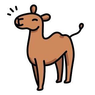 24 Camel
