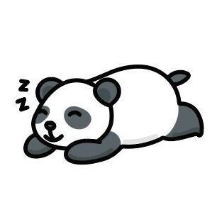 31 Panda