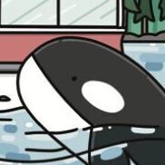 Orca