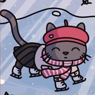 12 Ice Skating