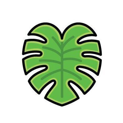 Plant (Monstera Leaf)
