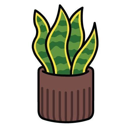 Plant (Snake Plant)